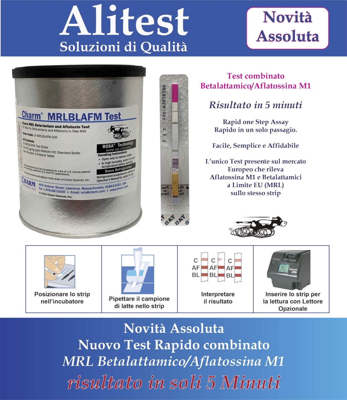 ASSOLUTA NOVITA COMPLETISSIMA" ASSOLUTA NOVITA COMPLETISSIMA"